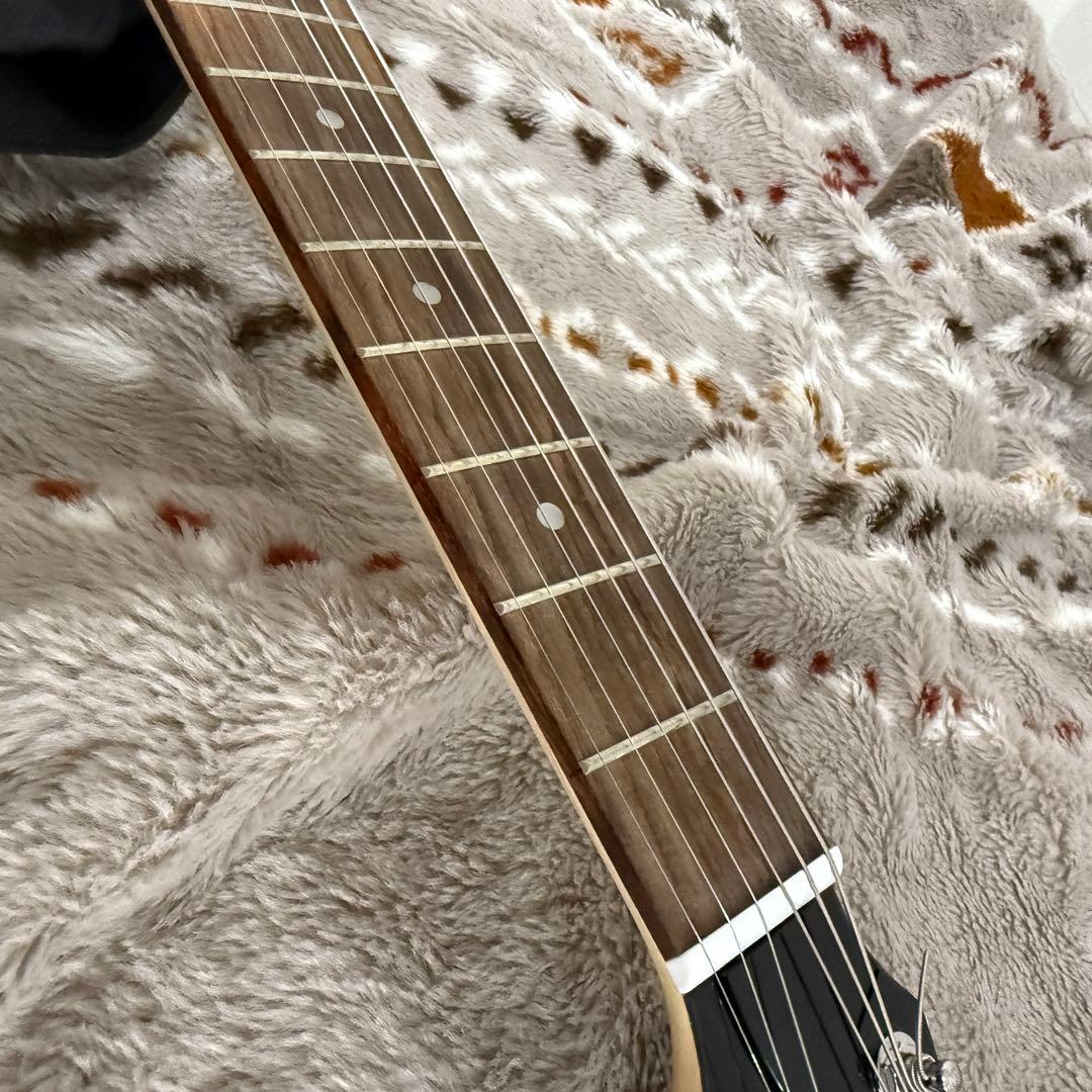 【美品】Pignose ピグノーズ PGG-200 アンプ内蔵レッド ケース付