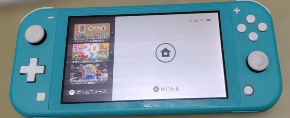 Nintendo Switch Lite ターコイズ 本体　ライト　ジャンク