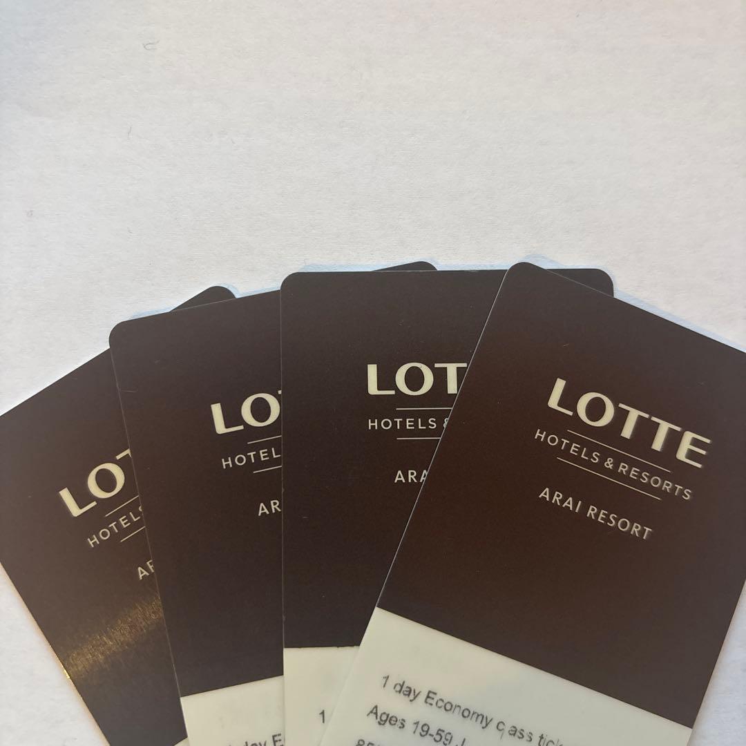 ロッテアライリゾート（スキー場）1日エコノミーリフト券 アライ