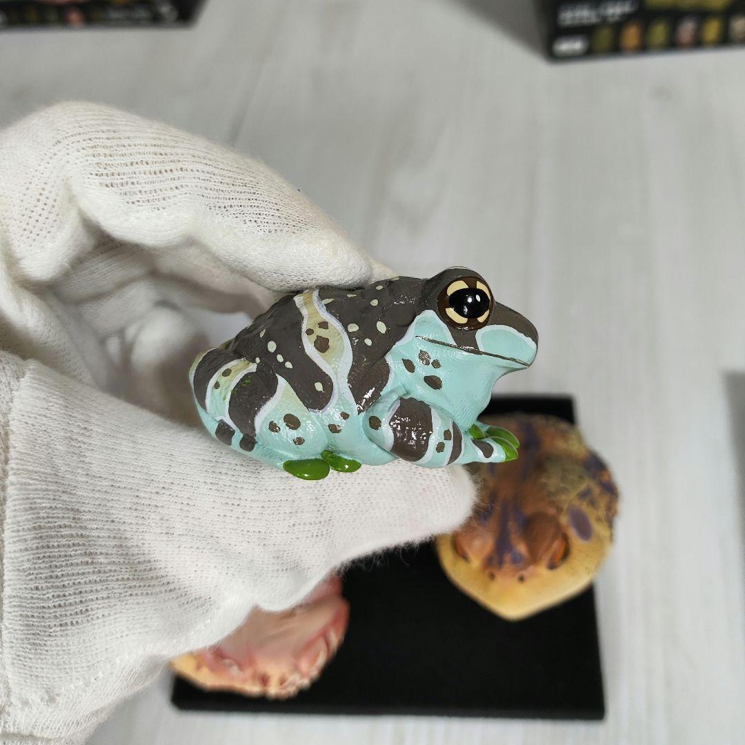 動物の惑星】スーパーレア!韓国限定リリー&150体限定カエル!! フィギュア