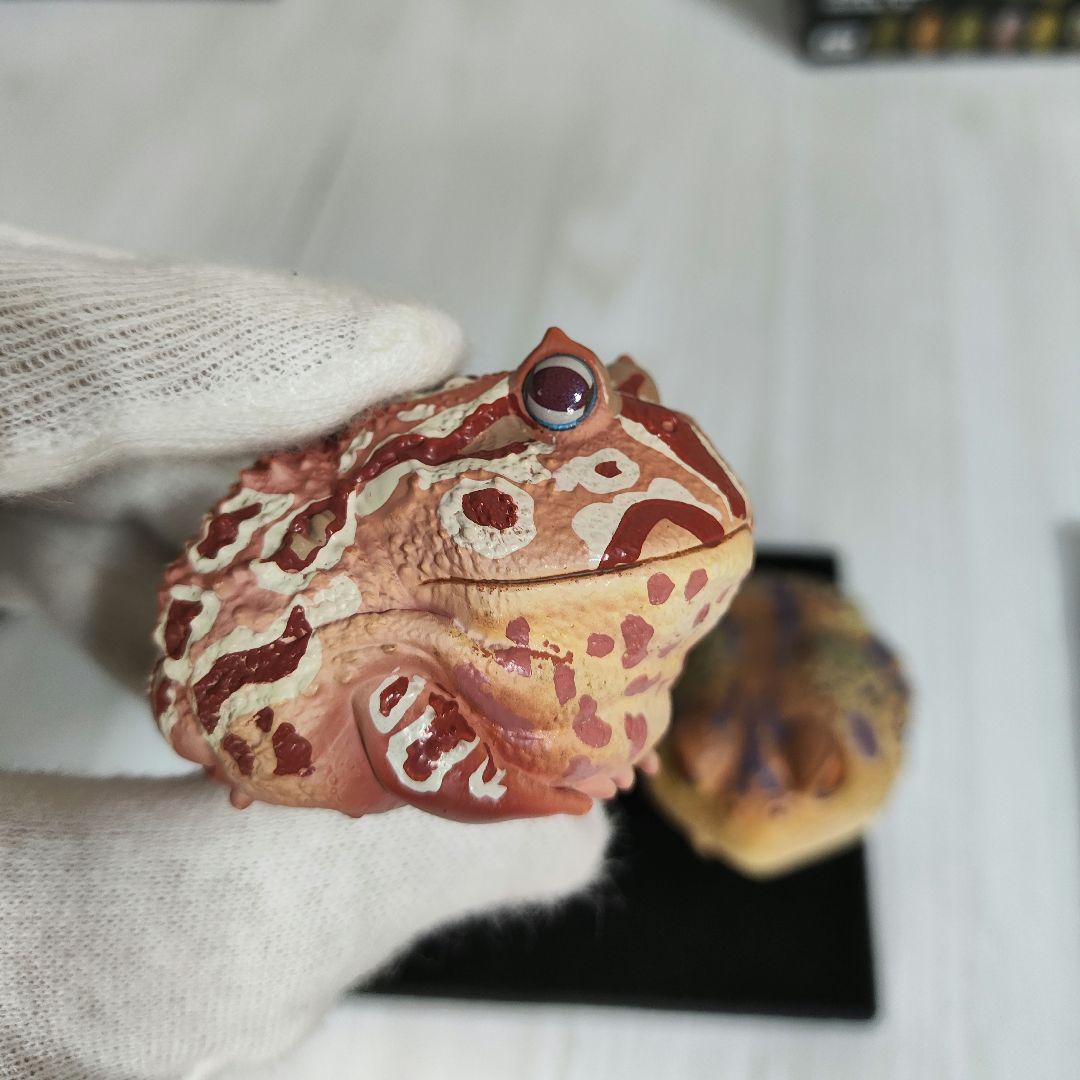 動物の惑星】スーパーレア!韓国限定リリー&150体限定カエル!! フィギュア