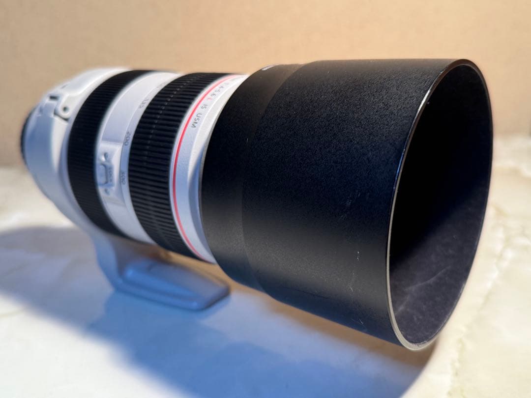 レンズ(ズーム) Canon EF70-300L F4-5.6 IS USM