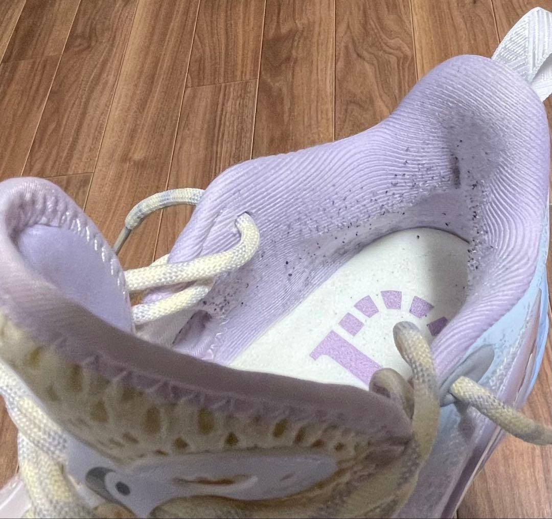 バスケットボールシューズ Dlo1 キャンプ