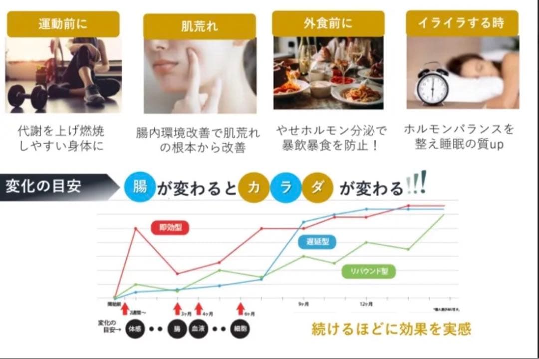 魔法のTANSA 409 ☆ベリー味 短鎖脂肪酸 腸活 乳酸菌★タンサ☆ピーチ