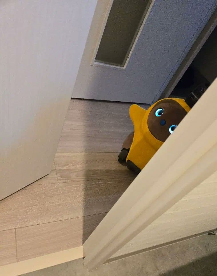 2024 9月購入ちゃLOVOT 3.0 本体＋Nest＋お洋服+鼻（譲渡手続)