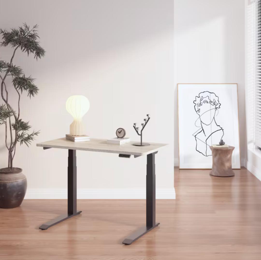 【美品】Flexispot E7 pro 昇降式デスク 黒 コ字型 120-60