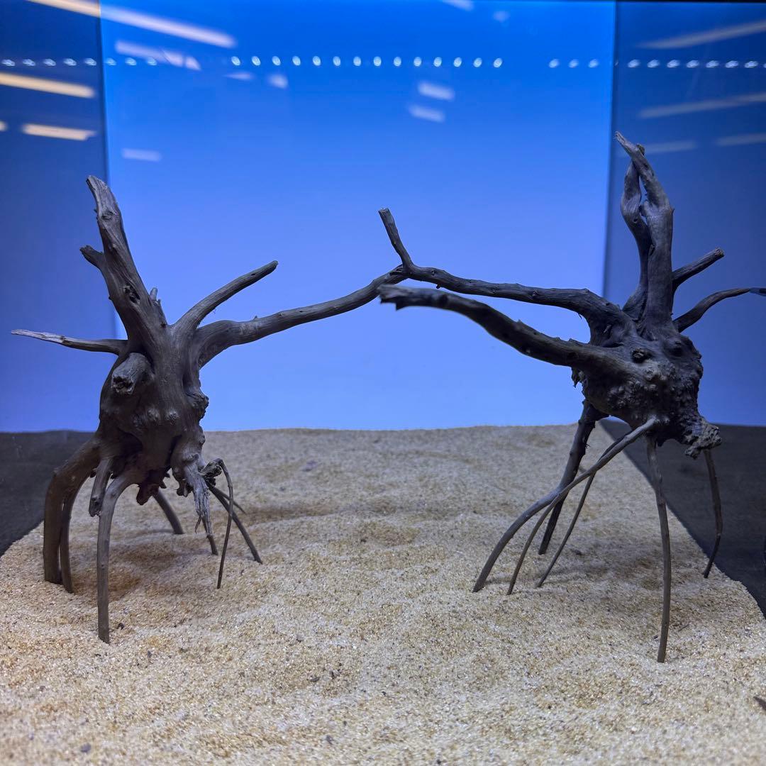 MDW-7278 ブランチウッド(ブラック)2本セット 枝流木 アクアリウム