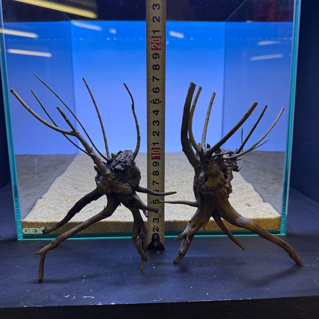 MDW-7278 ブランチウッド(ブラック)2本セット 枝流木 アクアリウム
