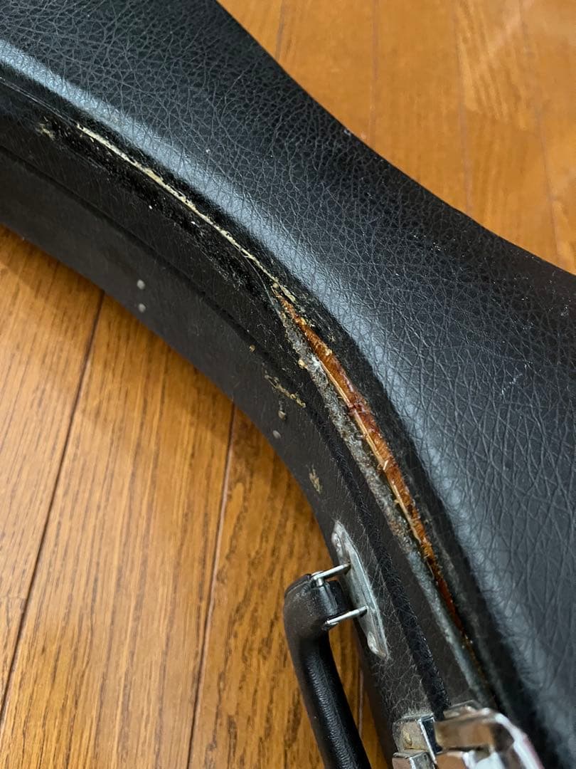 SUZUKI　マンドリン　M-30　 ハードケース付