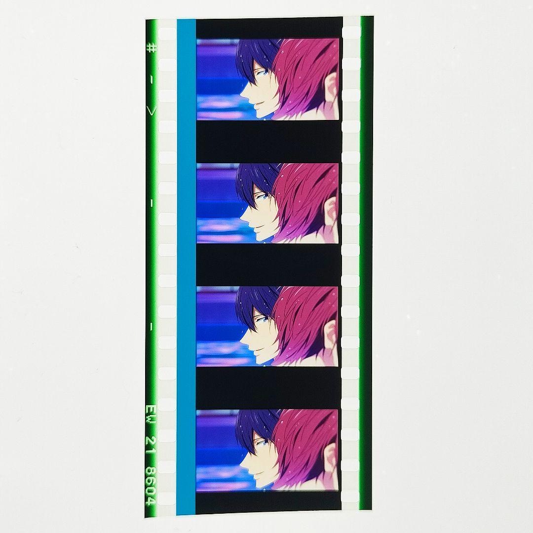 遙 凛 ナイトプール】 Free!FS 後編 コマフィルム 入場者特典 横顔A