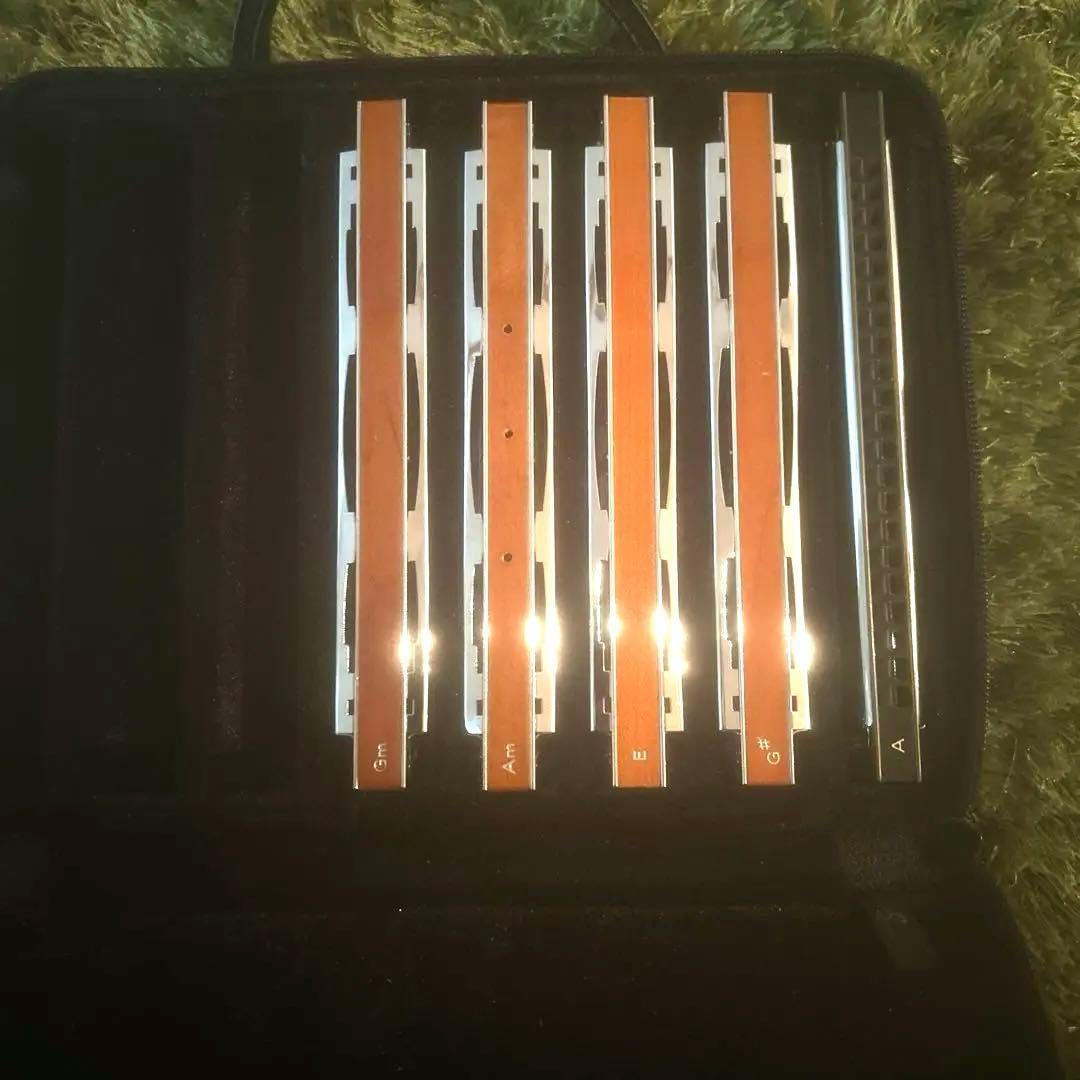 【箱付5本】TOMBO Professional22日本製4本＋Aトンボバンド