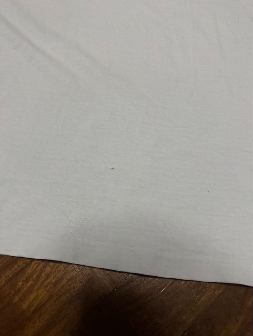 M*o様 TITANIC ヴィンテージ Tシャツ XL ホワイト