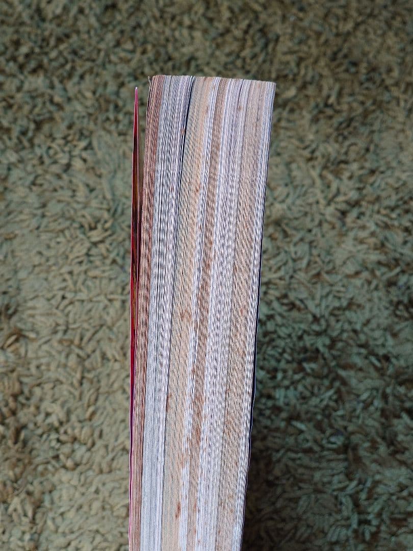 週刊少年ジャンプ 1995年25号 ドラゴンボール最終回号 1995年7号 2冊