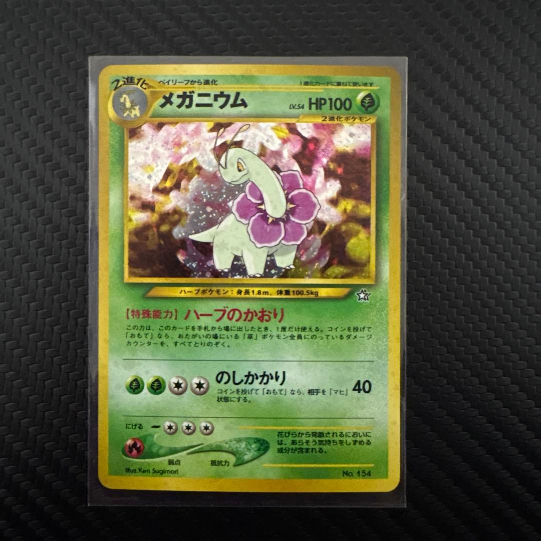 メガニウム プレミアムファイル PROMO 第1世代 旧裏 渦巻、十字ホロ