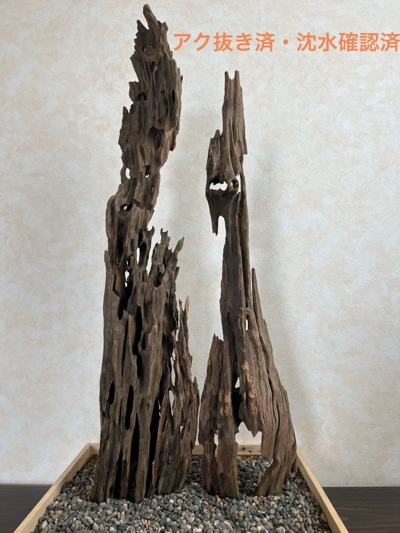 XM-446 流木 マシンガンウッド ブランチウッド アクアリウム - メルカリ