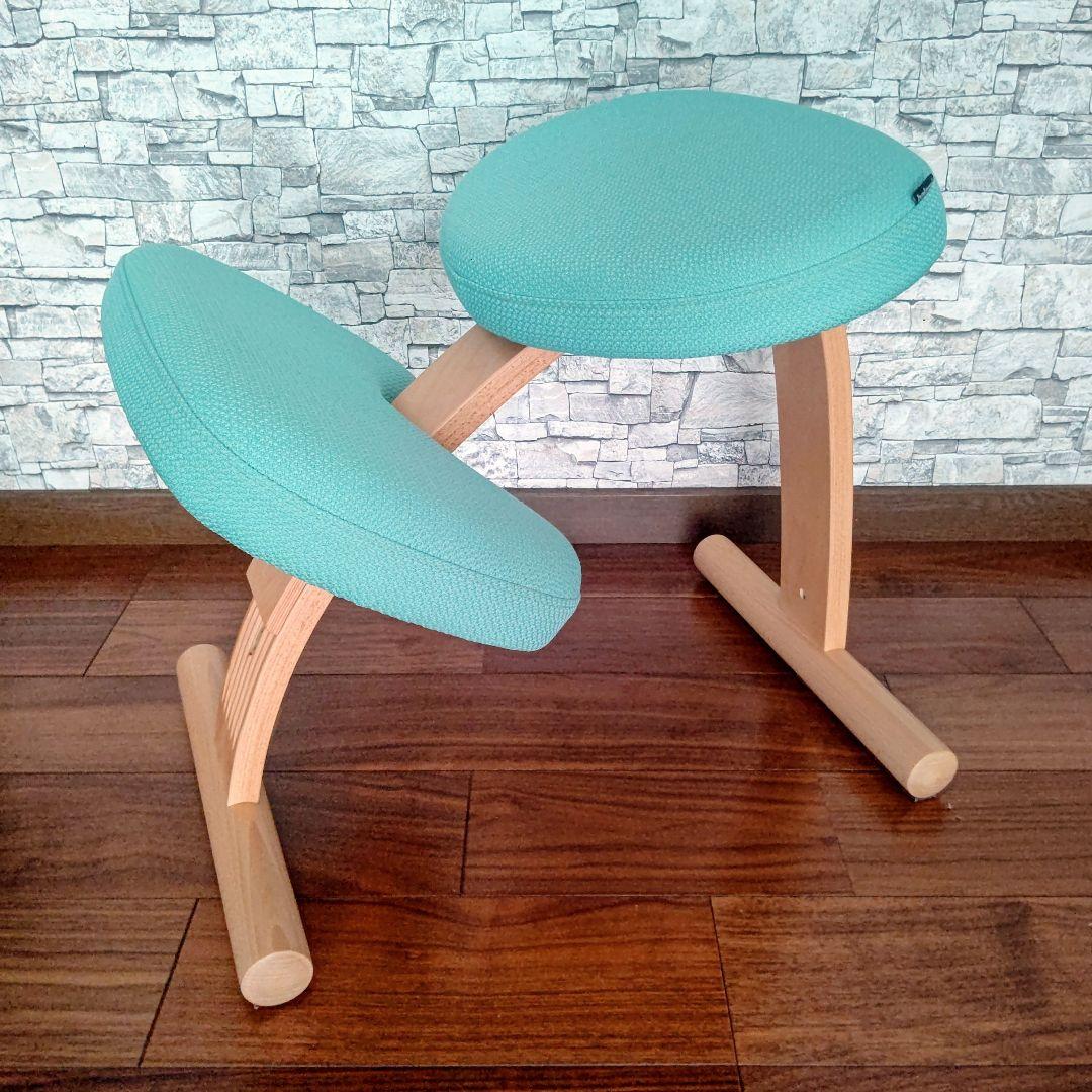 未使用に近い balans Easy バランスチェア ライトグリーン 美品】バランスチェア イージー ライトグリーン 付属品すべてあります