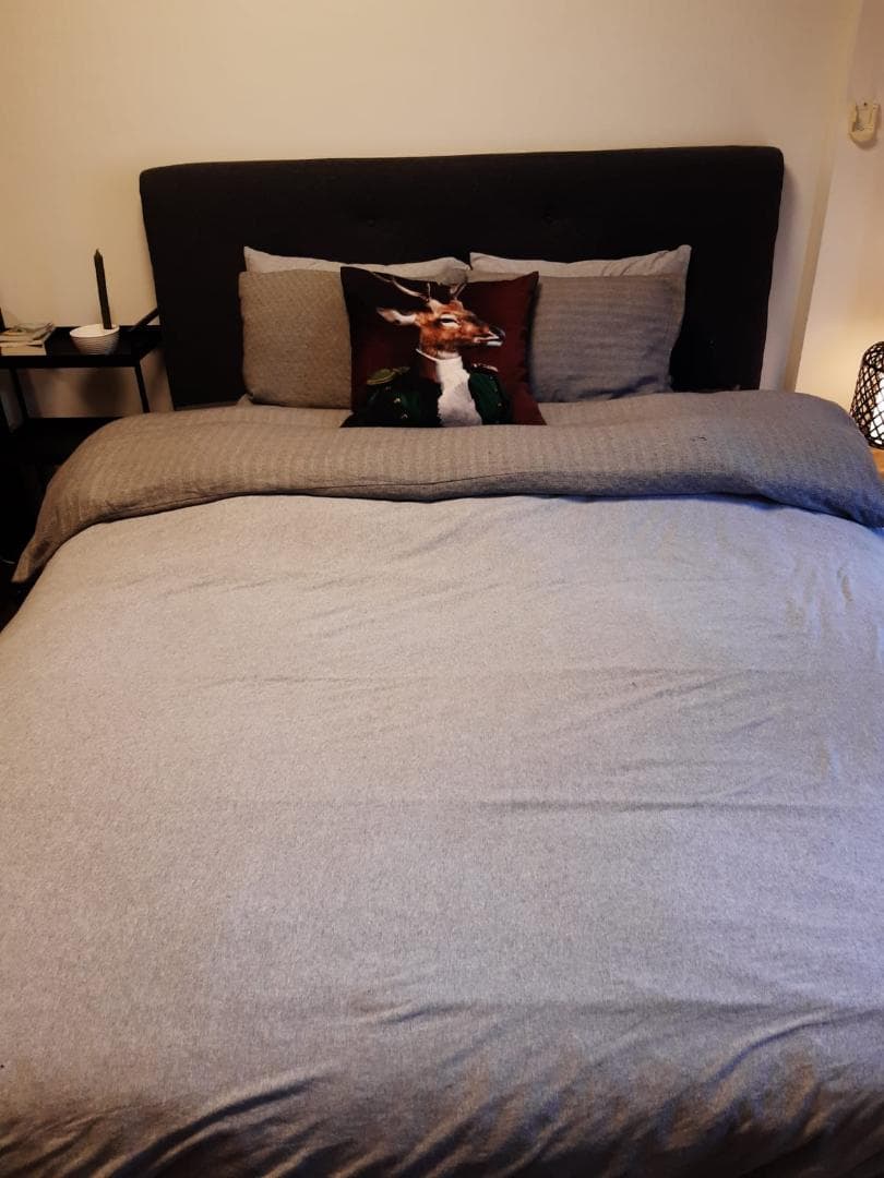 イケア製クイーンサイズベッド IDANÄS