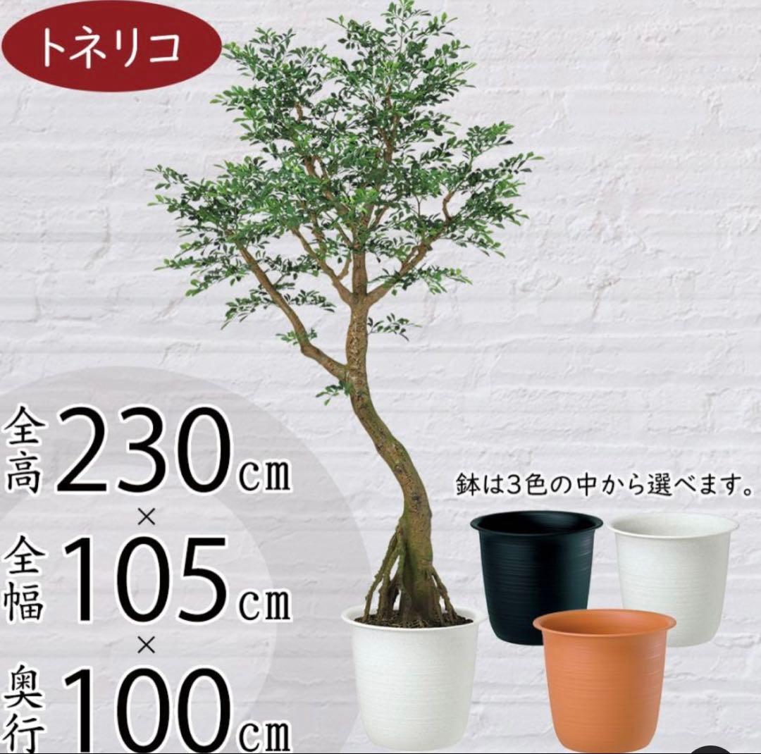 光触媒　人工観葉植物　ウォールグリーン　フェイクグリーン　トネリココアッド鉢付き