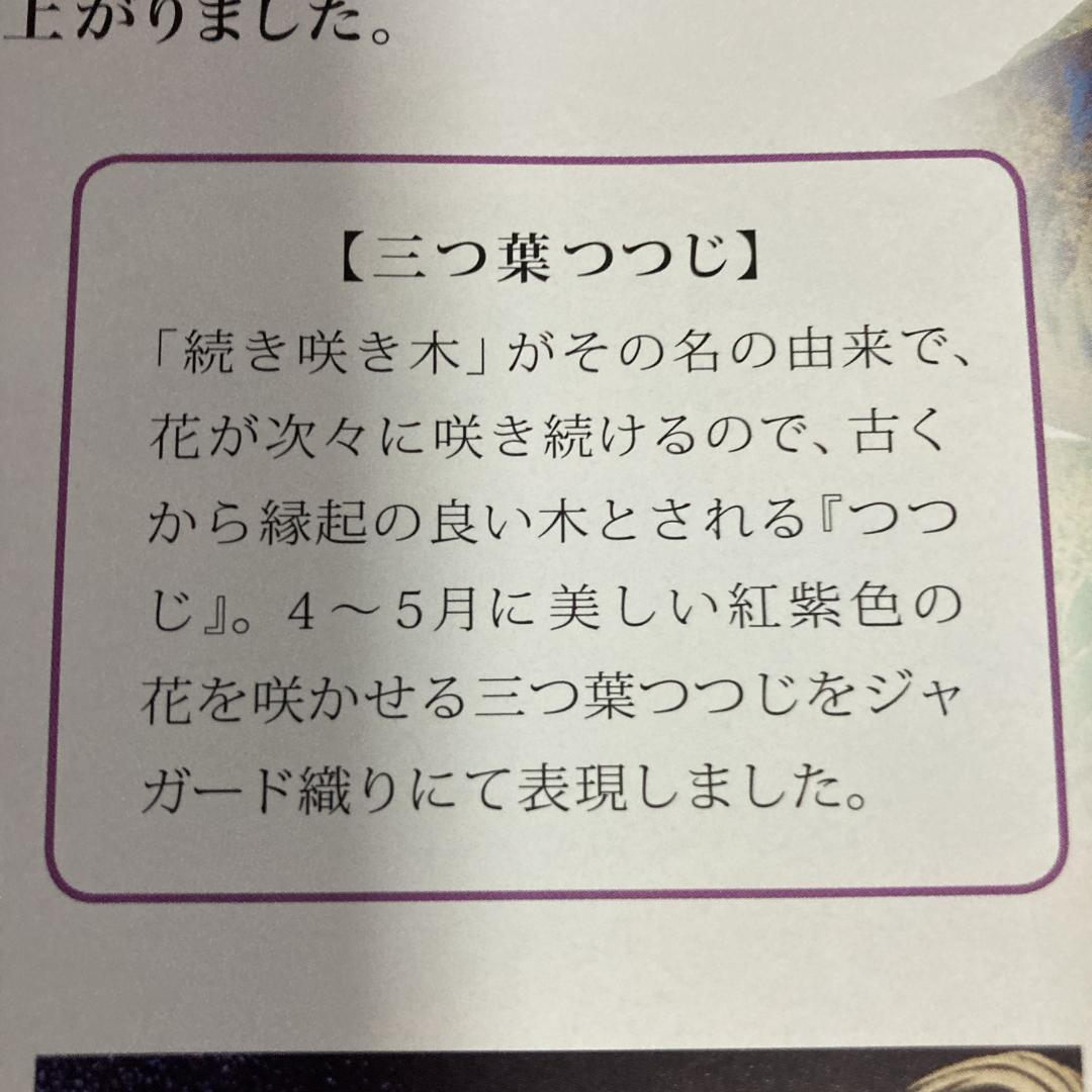 SK124-2 福島積美鯉1.5m お母さん鯉1.5m 鯉のぼり赤鯉1.5
