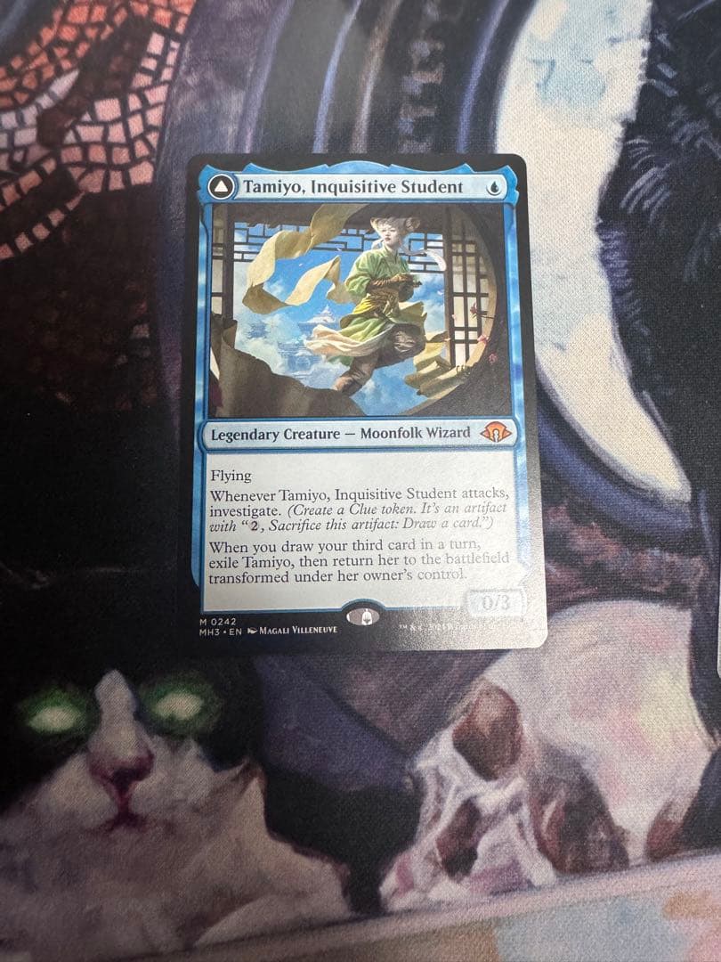 知りたがりの学徒　タミヨウ　4枚セット