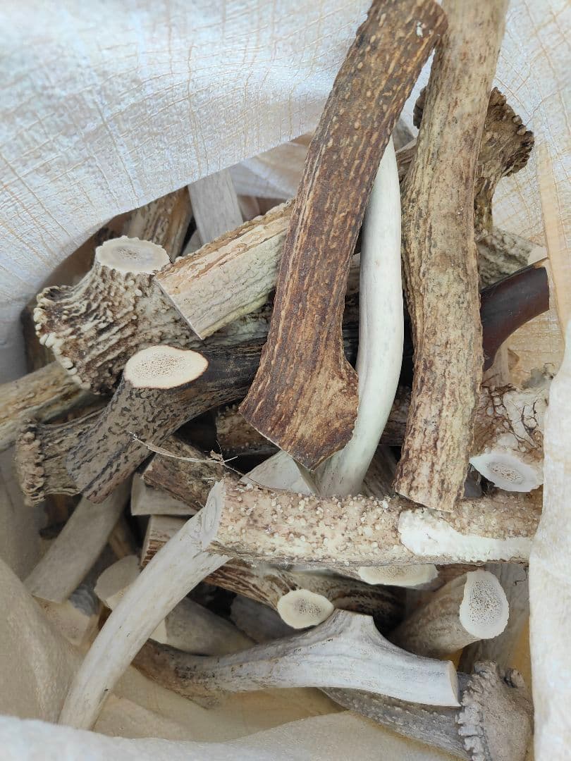 鹿角　端材 24kg 014※