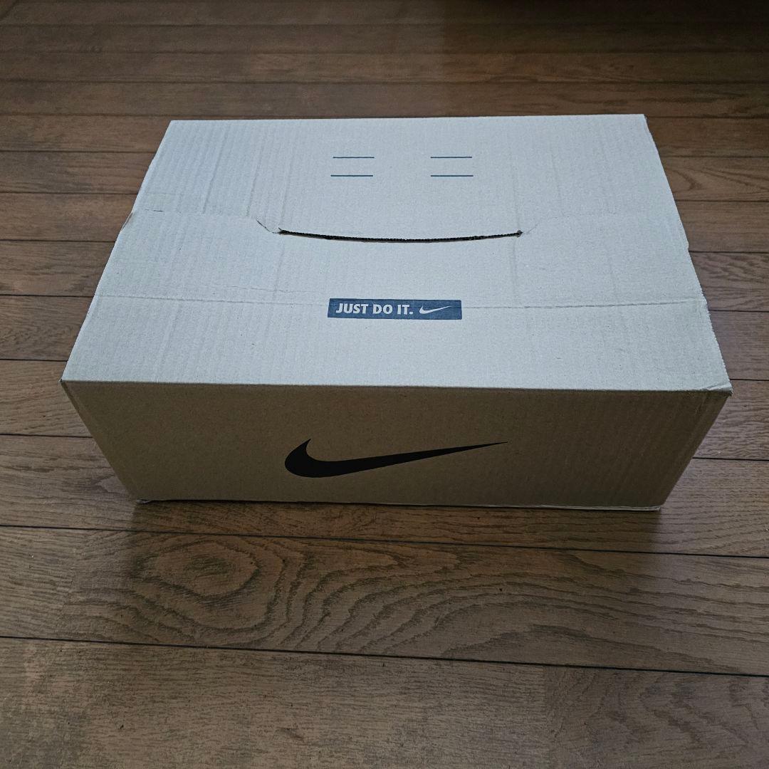 Nike Air Jordan 1 Retro High スターフィッシュ