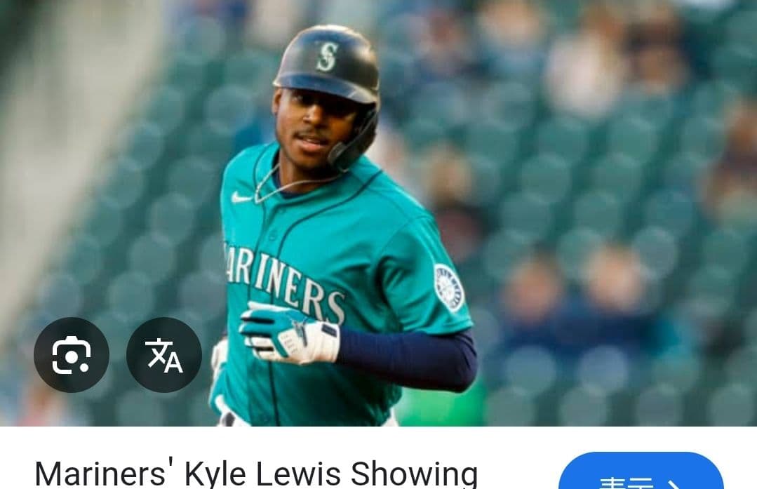 マニー・マチャド、カイル・ルイス バッティンググローブ セット