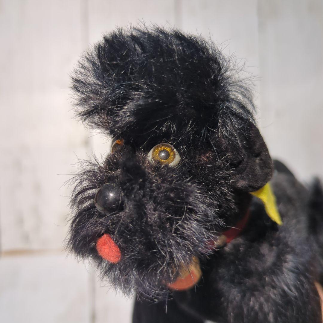 シュタイフ プードルSnobby 犬 ヴィンテージSteiffドイツAll ID