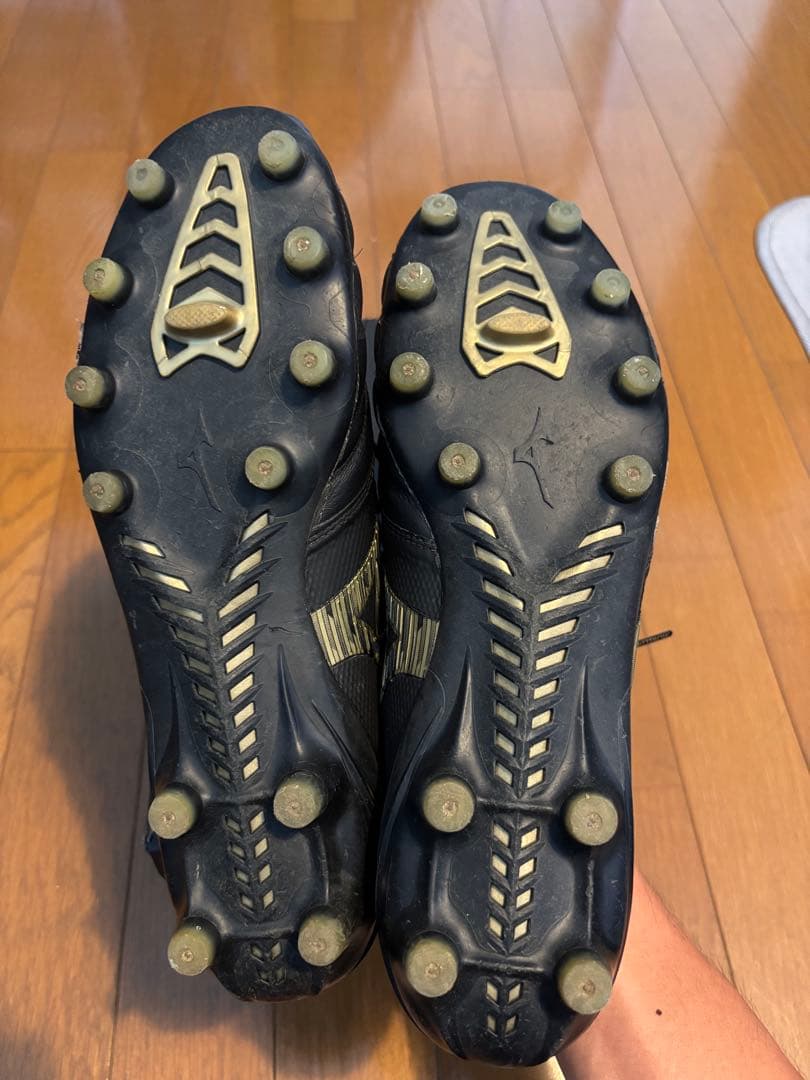 モレリアネオ4β JAPAN 27.0cm