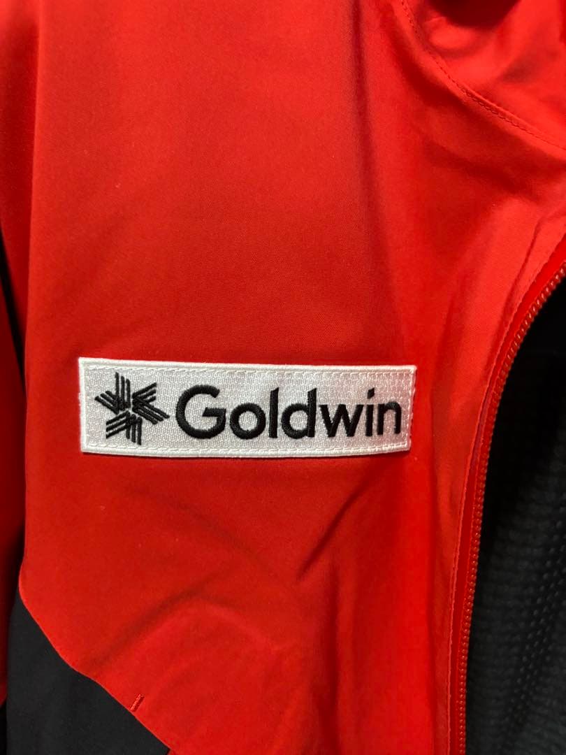 Goldwin GB Alpine Ski Team スキーウェア Lサイズ