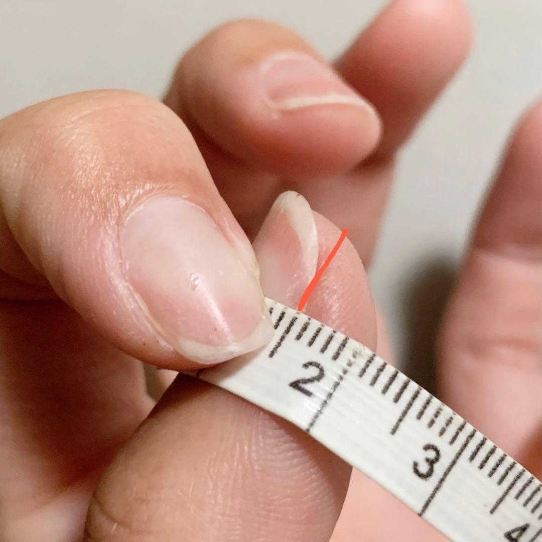 専用出品　かすみ様　2/19までにお届け