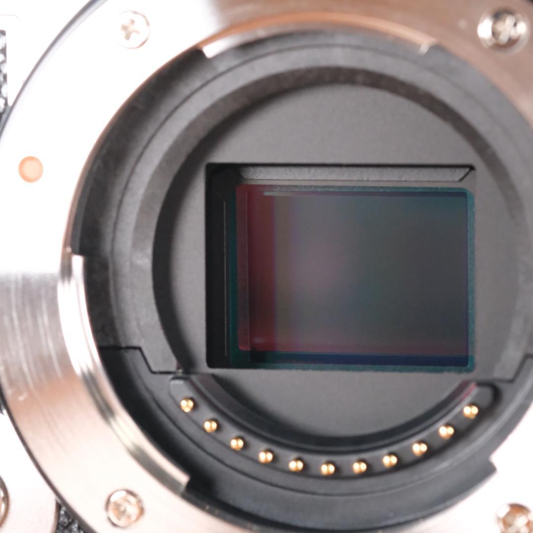 テ*イ様 OLYMPUS　PEN　E-P7　14-42mm　EZレンズキット　ハ