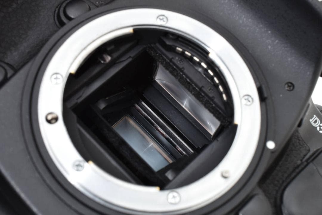 ★専用★《ショット数11,876回 》Nikon D300 ボディ #795W