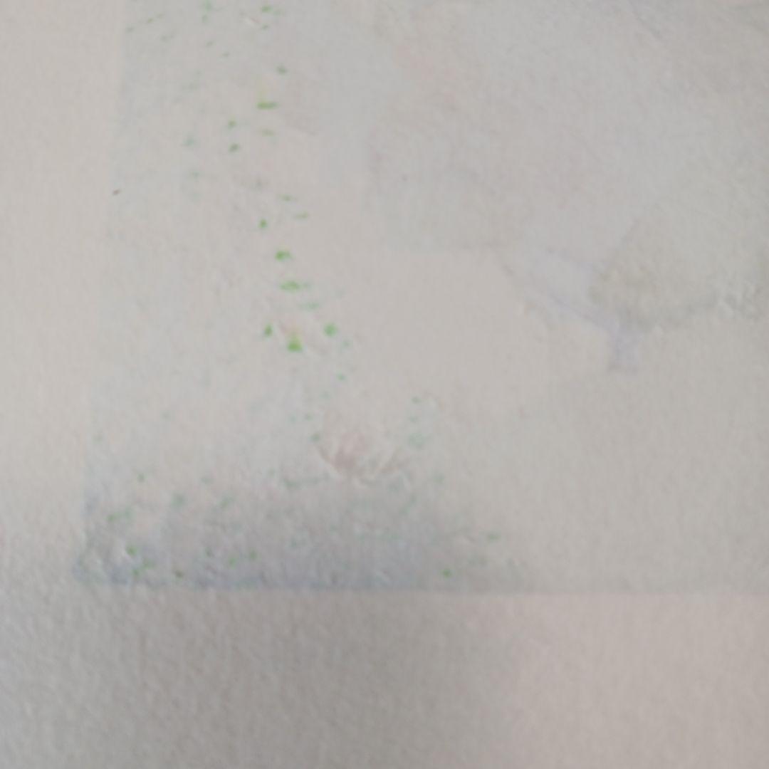 花物語 関野準一郞 一月二月三月四月五月