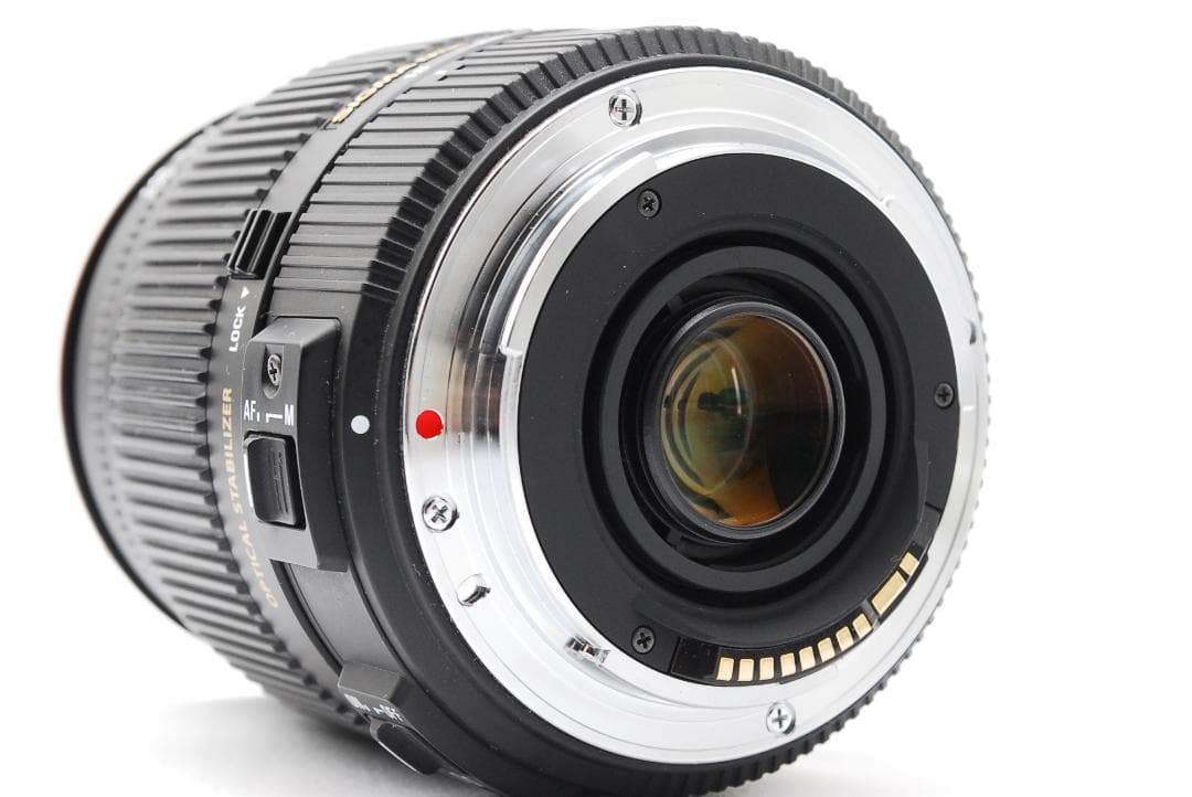 手ぶれ補正⭐️SIGMA 18-200mm OS HSM⭐️広角〜望遠まで キャノン