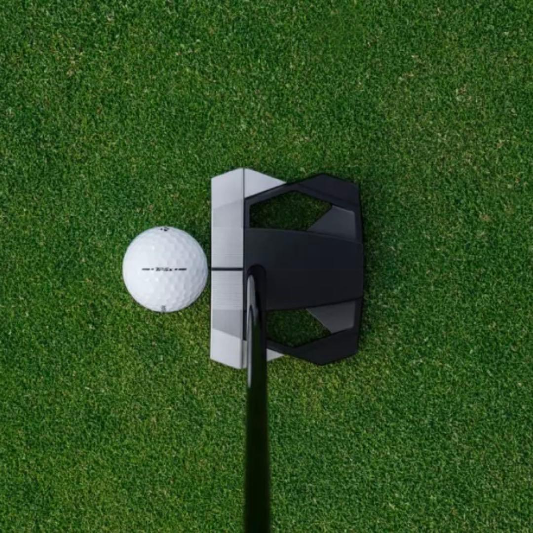 【新品未使用】スパイダーZT ゼロトルクパター　STANDARD 34インチ