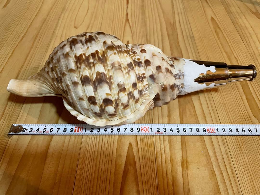 修験道法螺貝 山伏 密教 魔除け 熊よけ❣️ホラガイ ほら貝 L108288728