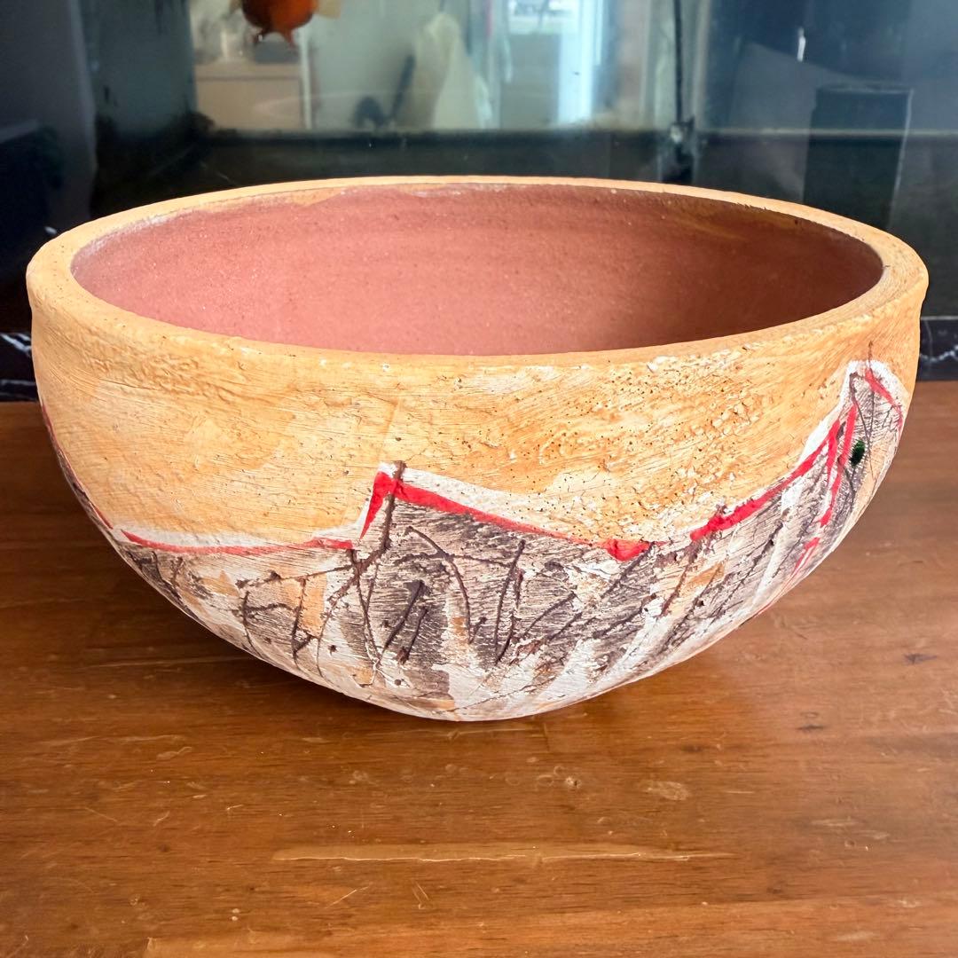 沼野秀章 / 刻ム音 / 5号　新品未使用　アガベ　グラキリス