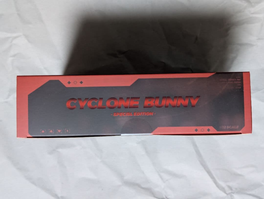 バニーガール アイリン サンキスドVer. フット サイクロンバニー パーカー