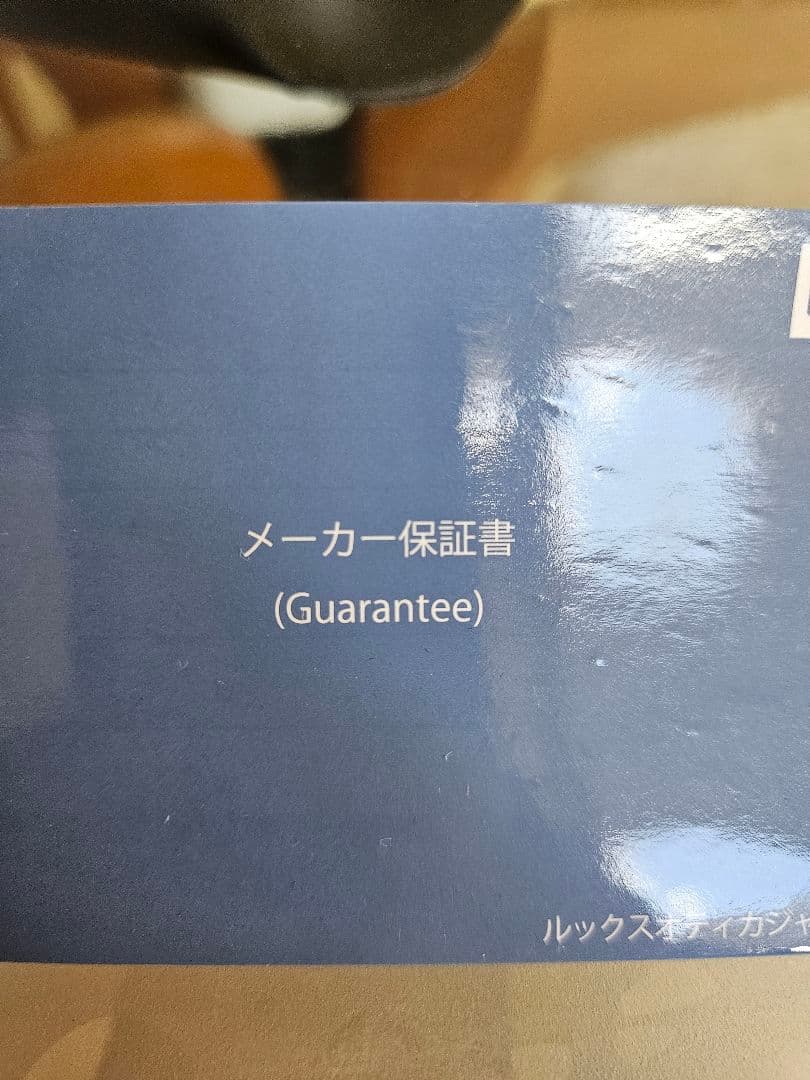 Ray-Ban Wings3 サングラス