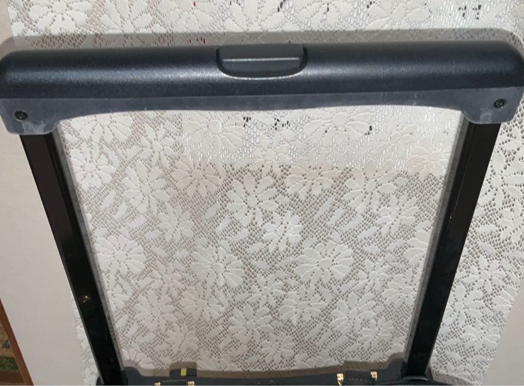 【はなちゃん】SWANY キャリーバッグ　Lサイズ