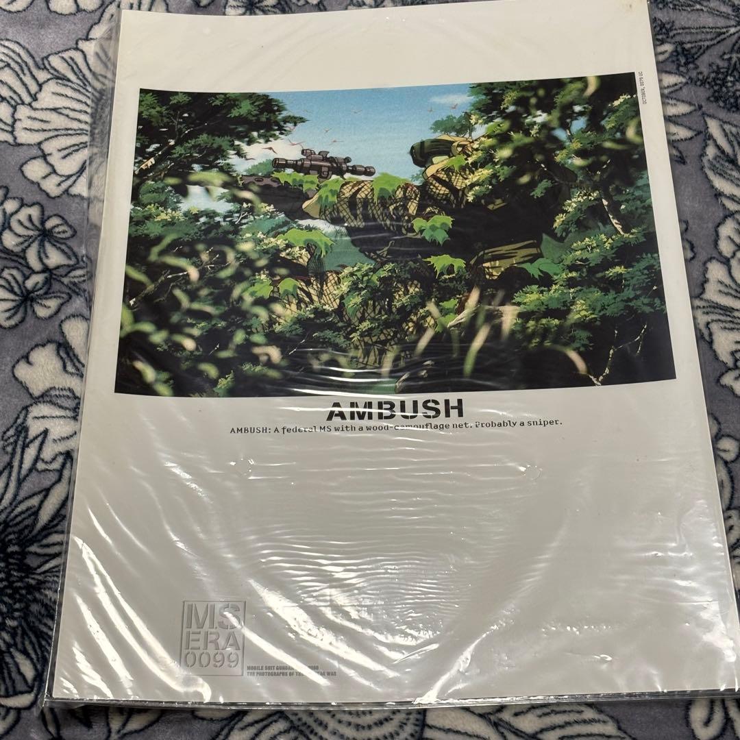 機動戦士ガンダム M.S.ERA 0099 PHOTOFILES 5枚セット