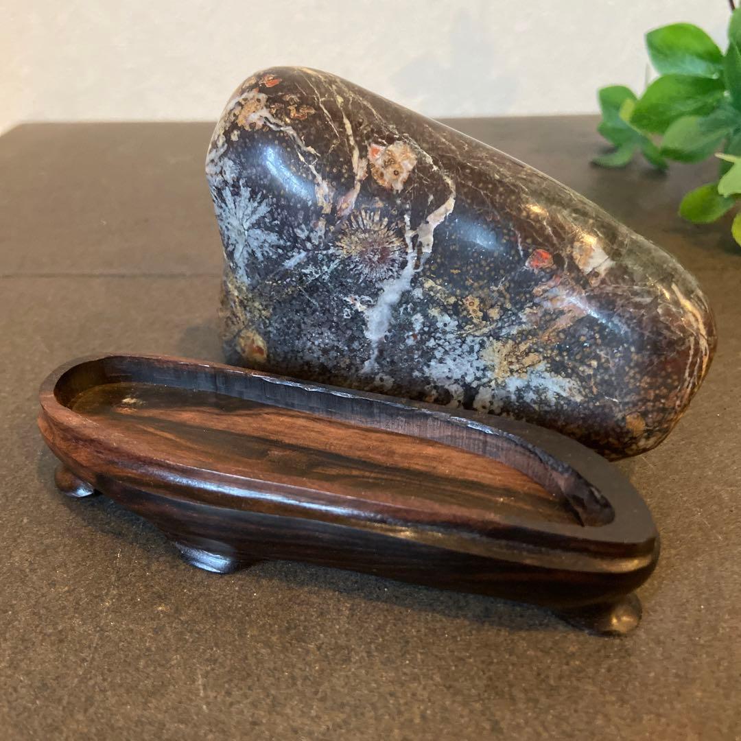 歳末フェア価格 菊花石 ☆鑑賞石 水石 盆栽 - メルカリ