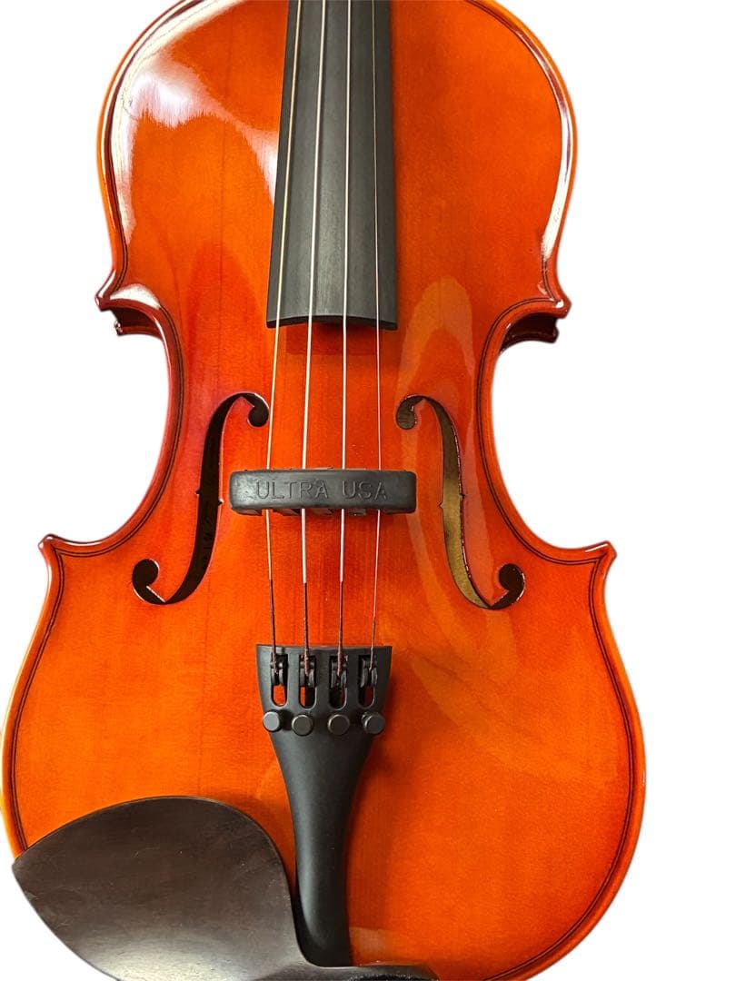 【極美品】カルロジョルダーノ　バイオリン　VS-1 4/4 2020年
