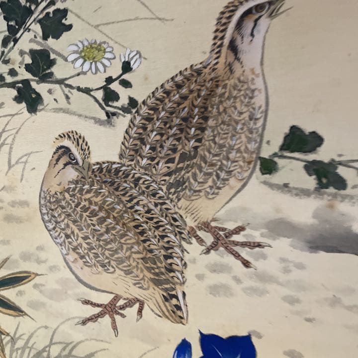 分部五鈴先生 秋草と鶉図 写真が全てです - メルカリ