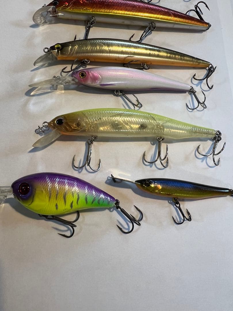 ルドラ ダウズビドー レベルミノー DIGLE 2+ ライザーベイト - メルカリ