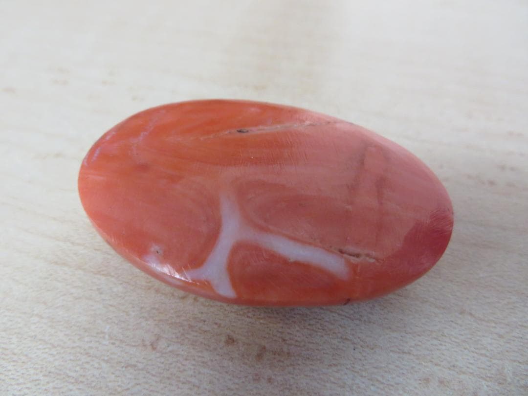 珊瑚サンゴ　帯留め外し石　特大裸石ルース　28.8ｇ　約144ct