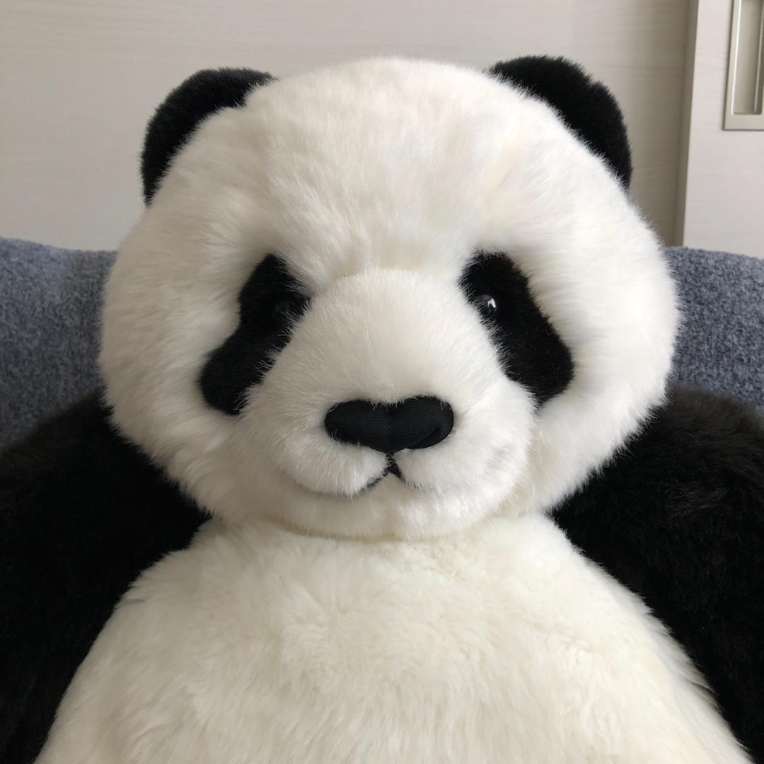 抱っこシャンシャン 上野動物園 大型ぬいぐるみ トートバッグ付き