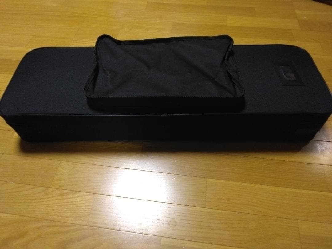 三線（沖縄三味線）入門用ケース付　付属品あり