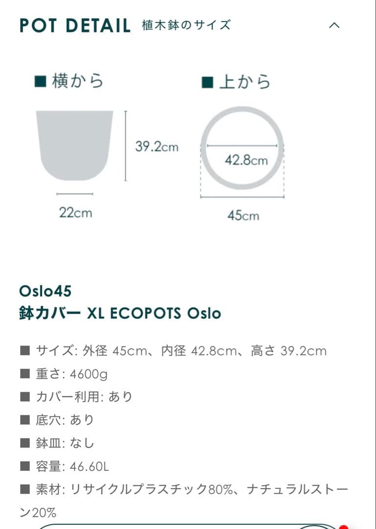 フィカス　ウンベラータ（蜂、ローラー付き受け皿付き）